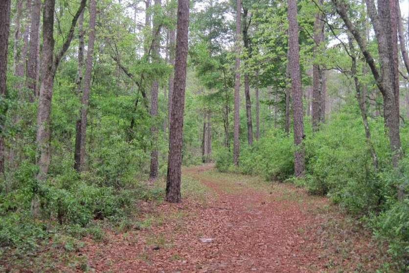 San Felasco Hammock Preserve State Park